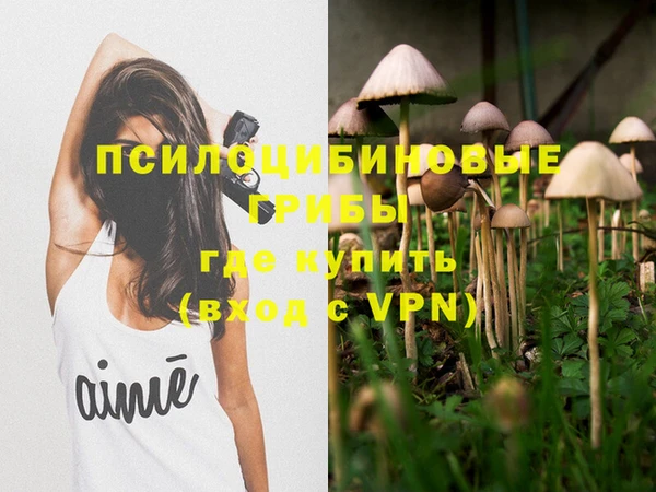 амфетамин Ельня