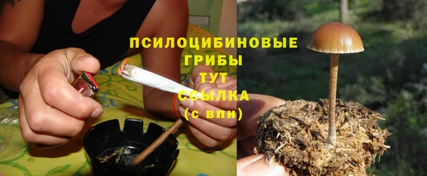 амфетамин Ельня