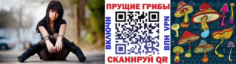 Галлюциногенные грибы Psilocybine cubensis  shop клад  Октябрьский 